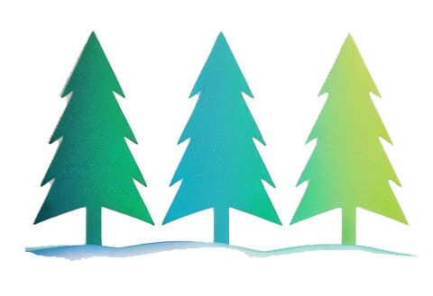 Fraser Valley Digital Logo